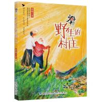 [N]野生的村庄/少年中国书系-9787539571324