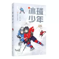 [N]冰球少年-9787558426544