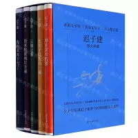 [N]迟子建散文典藏(共5册)-9787533963606