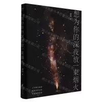[N]想为你的深夜放一束烟火-9787533968397
