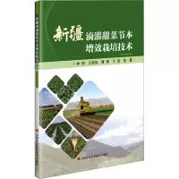 新疆滴灌甜菜节本增效栽培技术