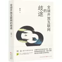 [N]全球开放互联网的歧途-9787203124924