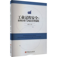 工业过程安全:案例分析与风险管理策略