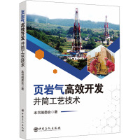 页岩气高效开发井筒工艺技术