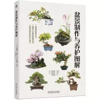 [N]盆景制作与养护图解-9787111732167