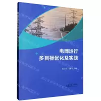 [N]电网运行多目标优化及实践-9787560778228
