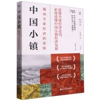 [N]中国小镇(撬动全球经济的重镇)-9787213110887