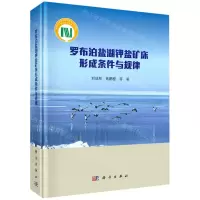 [N]罗布泊盐湖钾盐矿床形成条件与规律(精)-9787030641878