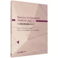 [N]几何分析综述(2021)(英文版)-9787030723277
