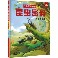 昆虫密码:奇妙的昆虫