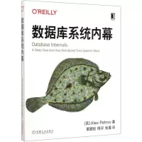 [N]数据库系统内幕-9787111655169