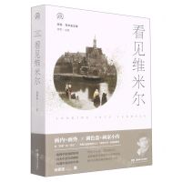 [N]看见维米尔/明日艺术史文库-9787535665768