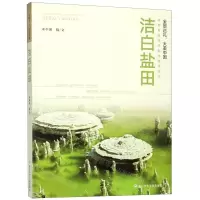 [N]洁白盐田/全景巡礼大美中国-9787559715869