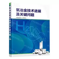 [N]氢冶金技术进展及关键问题-9787122423900