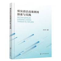 [N]煤炭清洁高效利用探索与实践-9787122427786