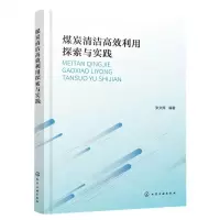 [N]煤炭清洁高效利用探索与实践-9787122427786