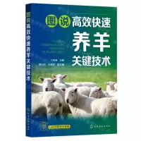 [N]图说高效快速养羊关键技术-9787122429636