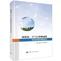[N]碳排放空气污染物减排和协同治理研究(精)-9787030700056