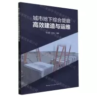[N]城市地下综合管廊高效建造与运维-9787112289622