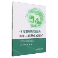 [N]化学链燃烧源头抑制二噁英生成技术-9787519876548
