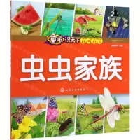 [N]虫虫家族/童眼识天下百问百答-9787122350763
