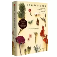 [N]300种干花图鉴-9787521741728