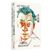 [N]去山巅呼喊-9787020177158