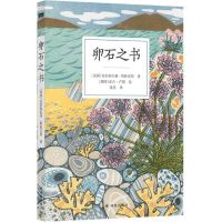 [N]卵石之书-9787544795913