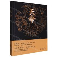 [N]天命-9787530682685