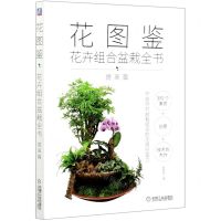 [N]花图鉴(花卉组合盆栽全书提高篇)-9787111674375