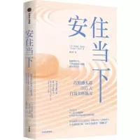 [N]安住当下-9787521741346