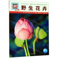 [N]野生花卉(学生版)/什么是什么-9787556429219