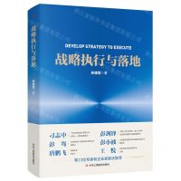 [N]战略执行与落地-9787515837666