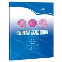 [N]病理学实验图解(第3版)-9787547857007