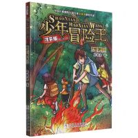 [N]天池寻踪(注音版)/少年冒险王-9787559725202