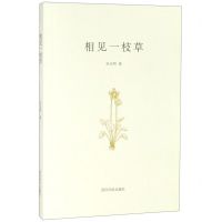 [N]相见一枝草-9787550827004