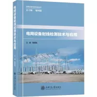 电网设备 线检测技术与应用