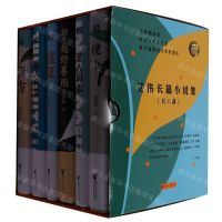 [N]艾伟长篇小说集(共6册)(精)-9787533971359