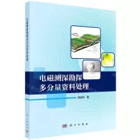 [N]电磁测深勘探多分量资料处理-9787030657466