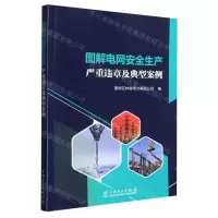 [N]图解电网安全生产严重违章及典型案例-9787519873066