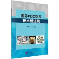 [N]国外PDC钻头技术新进展-9787030627438