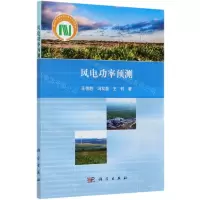 [N]风电功率预测-9787030665591