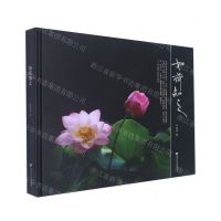 [N]如荷知之(精)-9787308227919