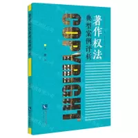 [N]著作权法典型案例评析-9787513075541