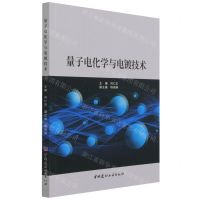[N]量子电化学与电镀技术-9787516031339