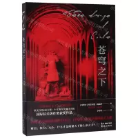 [N]苍穹之下-9787536090408