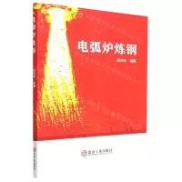 [N]电弧炉炼钢-9787502491932