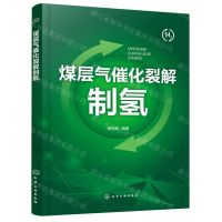 [N]煤层气催化裂解制氢-9787122421043