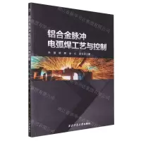 [N]铝合金脉冲电弧焊工艺与控制-9787561284247