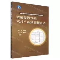 [N]致密砂岩气藏气井产能预测新方法-9787518356065